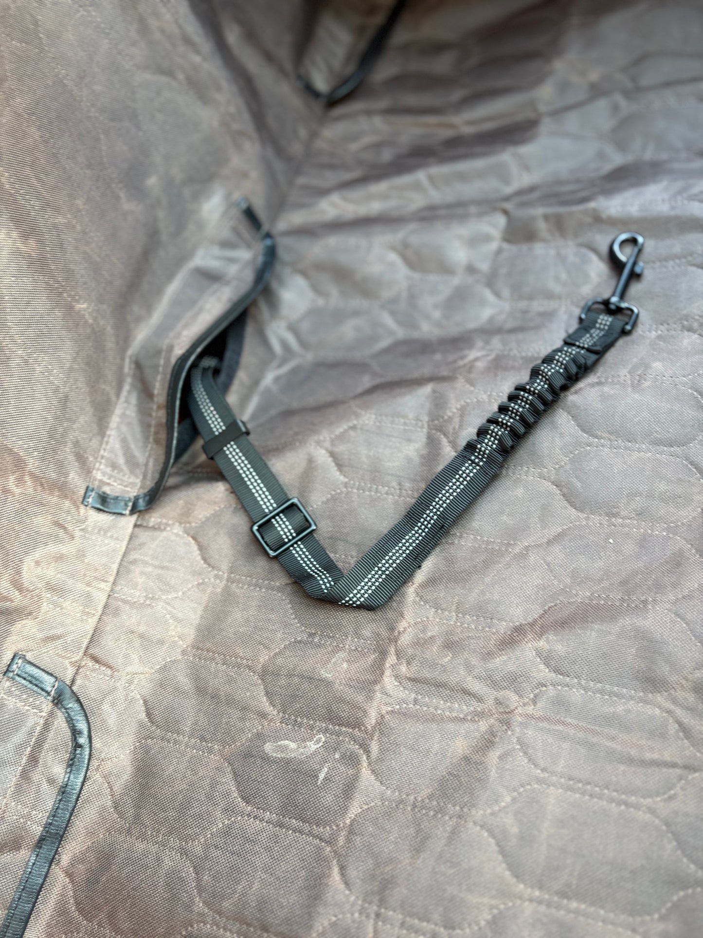 Leash Latch Pro 2: Heavy-Duty Seatbelt Tether + 2-in-1 Headrest Leash Loop & Collapsible Travel Bowl