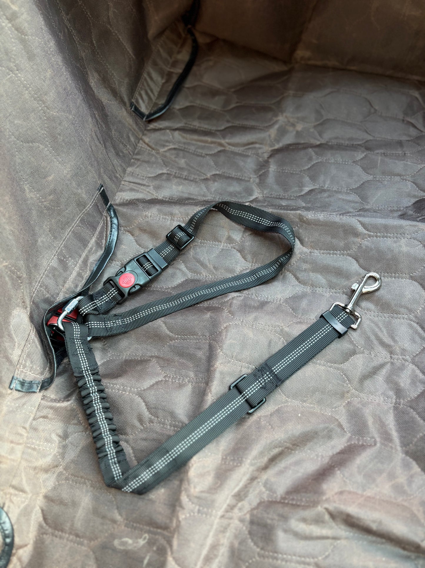 Leash Latch Pro 2: Heavy-Duty Seatbelt Tether + 2-in-1 Headrest Leash Loop & Collapsible Travel Bowl