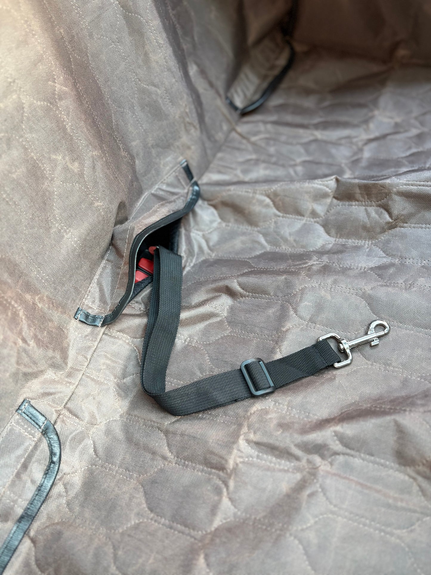 AllGuard Seat-Shield: Luxury Pet Hammock