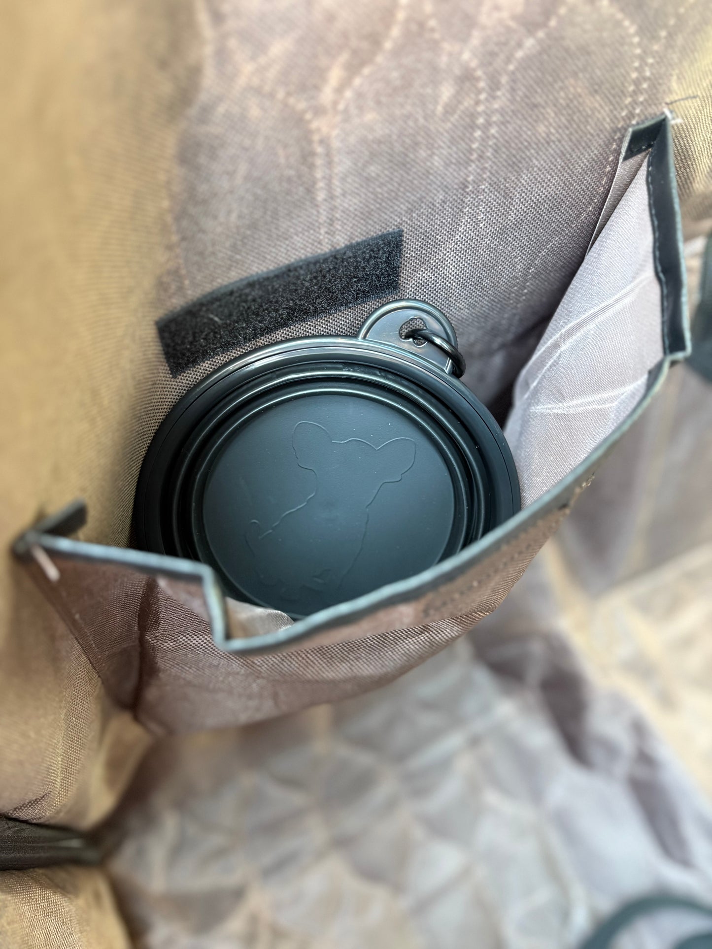 Leash Latch Pro 2: Heavy-Duty Seatbelt Tether + 2-in-1 Headrest Leash Loop & Collapsible Travel Bowl