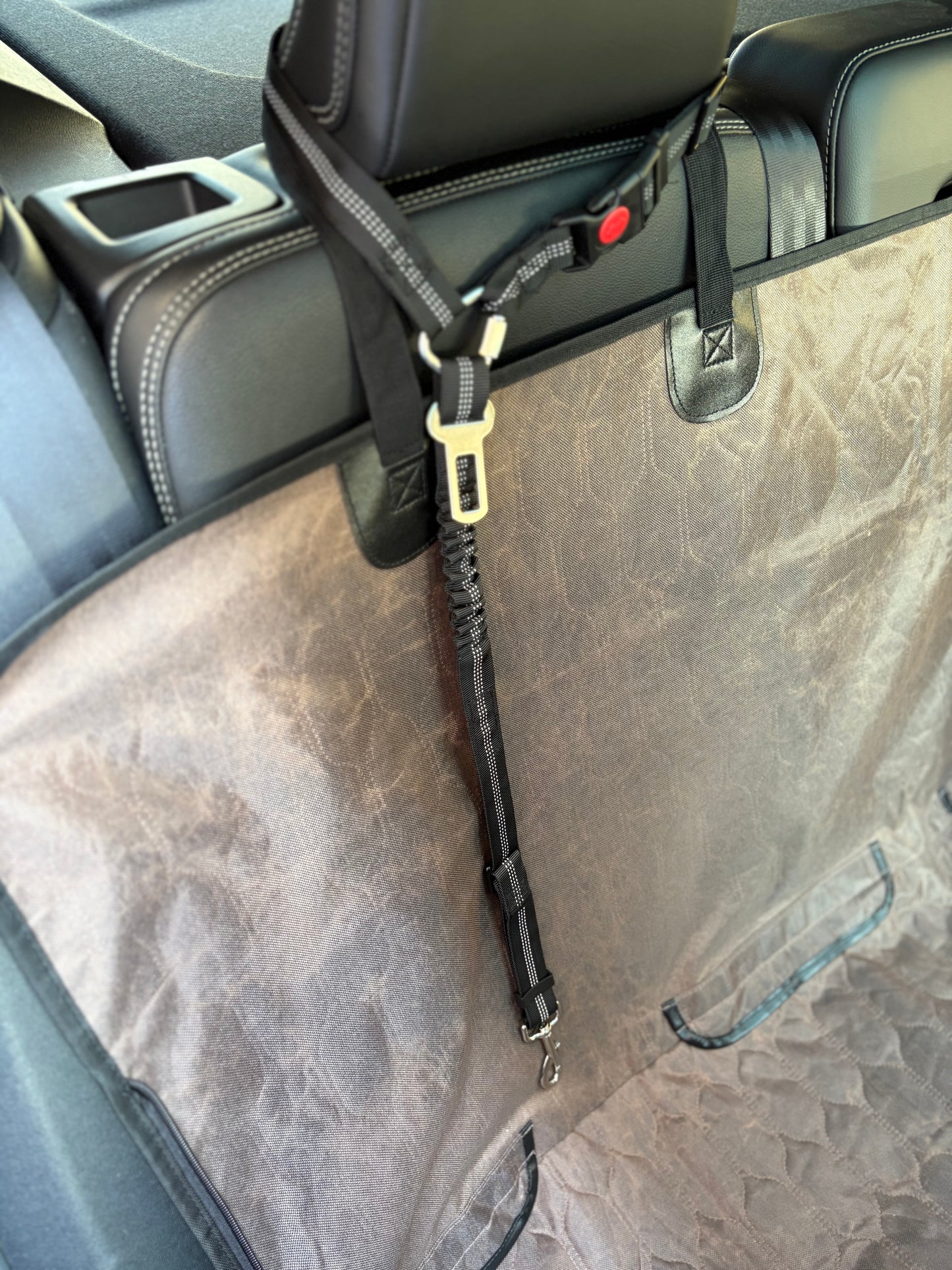 Leash Latch Pro 2: Heavy-Duty Seatbelt Tether + 2-in-1 Headrest Leash Loop & Collapsible Travel Bowl